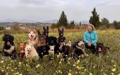 Tu veterinaria de confianza