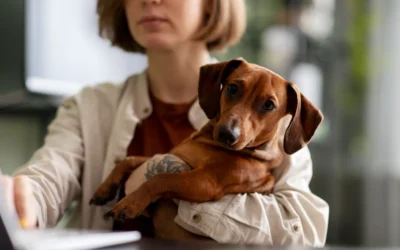 Cuidado con lo que comen nuestras mascotas: la importancia de prevenir obstrucciones intestinales